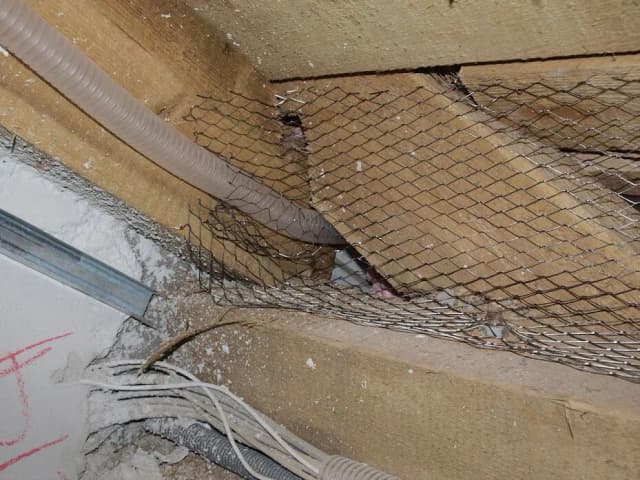 Skuteczne sposoby na zabezpieczenie poddasza przed kunami i ich szkodami Skuteczne sposoby na zabezpieczenie poddasza przed kunami i ich szkodami