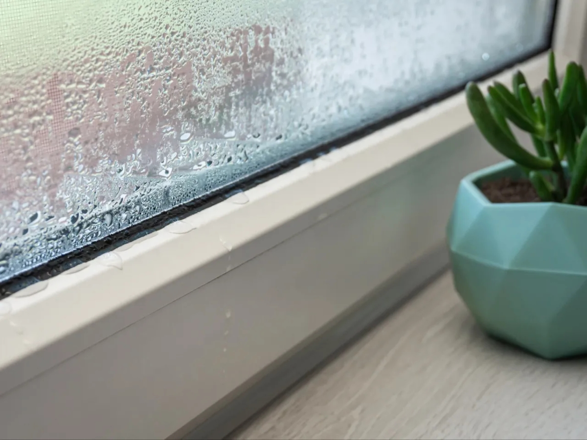 Jak pozbyć się wilgoci na oknach? Skuteczne metody, które działają!